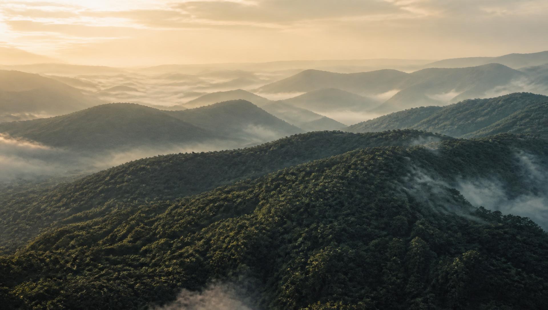 Misty ridges of the Great Smoky Mountains at sunrise